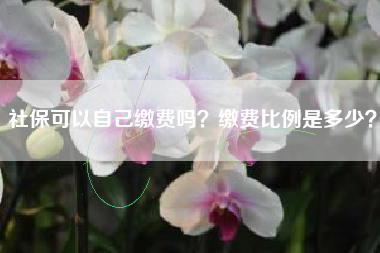 社保可以自己缴费吗？缴费比例是多少？