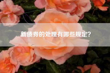 新债券的处理有哪些规定？