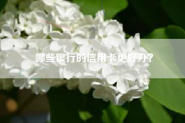 哪些银行的信用卡更好办？