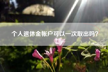 个人退休金帐户可以一次取出吗？
