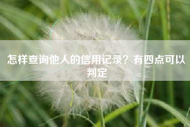 怎样查询他人的信用记录？有四点可以判定