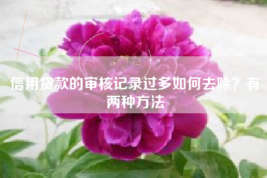 信用贷款的审核记录过多如何去除？有两种方法