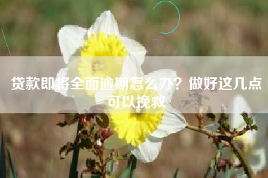 贷款即将全面逾期怎么办？做好这几点可以挽救