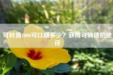 可转债1000可以赚多少？获得可转债的途径