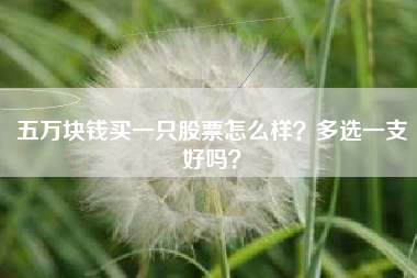 五万块钱买一只股票怎么样？多选一支好吗？