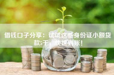 借钱口子分享：试试这些身份证小额贷款5千，快速到账！