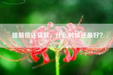 提前偿还贷款，什么时候还最好？