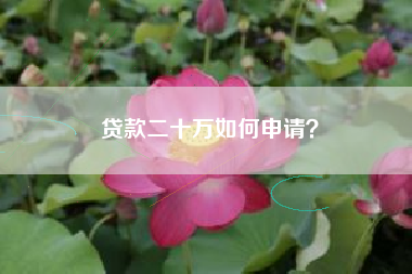 贷款二十万如何申请？