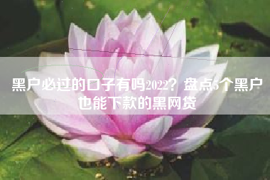 黑户必过的口子有吗2022？盘点5个黑户也能下款的黑网贷