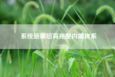 系统施策培育完整内需体系