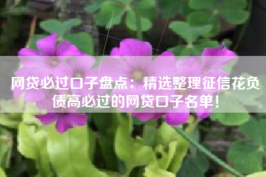 网贷必过口子盘点：精选整理征信花负债高必过的网贷口子名单！
