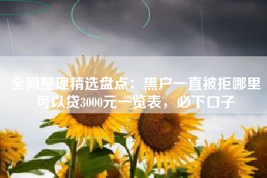 全网整理精选盘点：黑户一直被拒哪里可以贷3000元一览表，必下口子