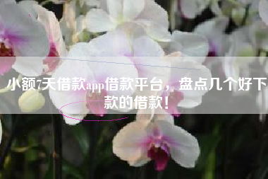 小额7天借款app借款平台，盘点几个好下款的借款！