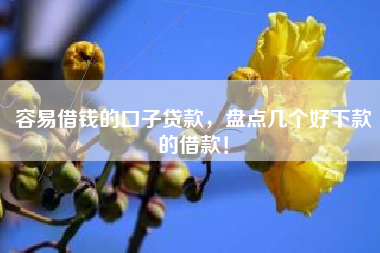 容易借钱的口子贷款，盘点几个好下款的借款！