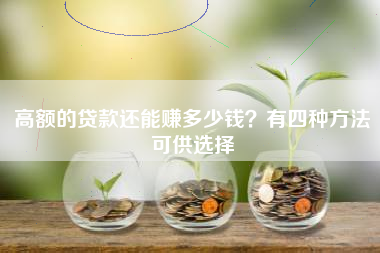 高额的贷款还能赚多少钱？有四种方法可供选择