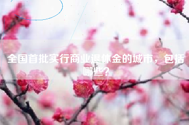 全国首批实行商业退休金的城市，包括哪些？