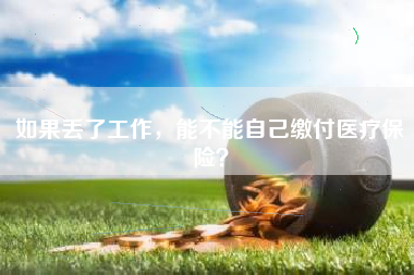 如果丢了工作，能不能自己缴付医疗保险？