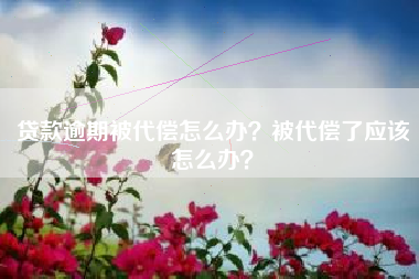贷款逾期被代偿怎么办？被代偿了应该怎么办？