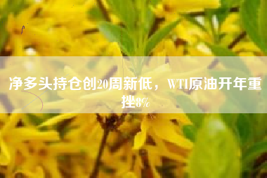 净多头持仓创20周新低，WTI原油开年重挫8%