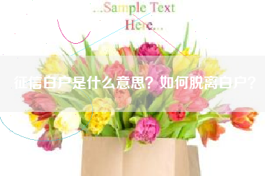 征信白户是什么意思？如何脱离白户？