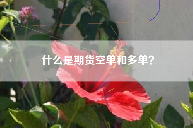 什么是期货空单和多单？