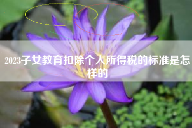2023子女教育扣除个人所得税的标准是怎样的