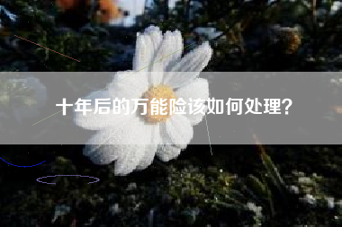 十年后的万能险该如何处理？