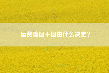 运费险退不退由什么决定？