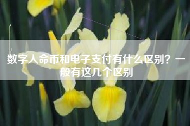 数字人命币和电子支付有什么区别？一般有这几个区别