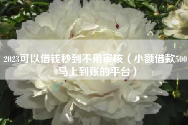 2023可以借钱秒到不用审核（小额借款5000马上到账的平台）