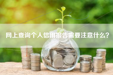 网上查询个人信用报告需要注意什么？