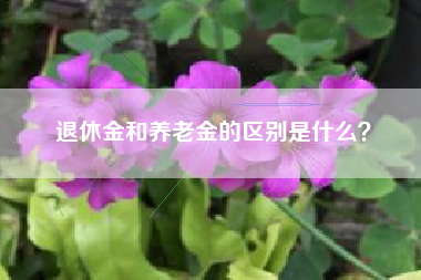退休金和养老金的区别是什么？