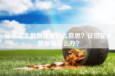 征信花大数据花是什么意思？征信花大数据花怎么办？