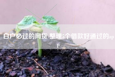 白户必过的网贷 整理5个借款好通过的app