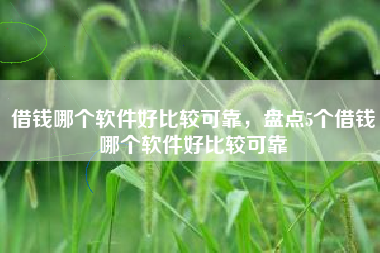 借钱哪个软件好比较可靠，盘点5个借钱哪个软件好比较可靠