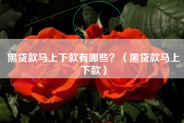 黑贷款马上下款有哪些？（黑贷款马上下款）