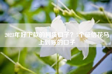 2023年好下款的网贷口子？5个征信花马上到账的口子