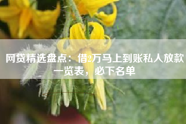 网贷精选盘点：借2万马上到账私人放款一览表，必下名单