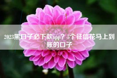 2023黑口子必下款app？5个征信花马上到账的口子