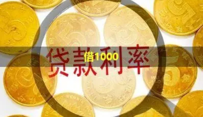 借1000元必下款有哪些？精选5个无视黑白的小额借款平台