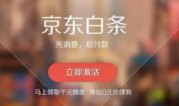 哪些商家支持使用白条分期付款？