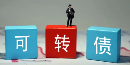 我应该选择可转债还是其他投资品种？如何评估风险和回报？