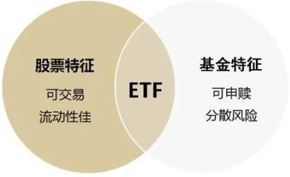投资ETF有哪些优势？理解流动性、透明度和低成本的重要性！