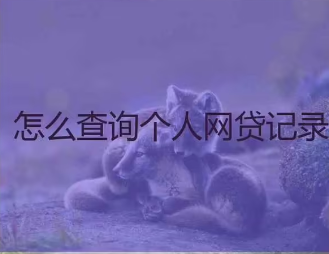 如何查询自己名下全部网贷记录？全面解析网贷查询方法与注意事项！