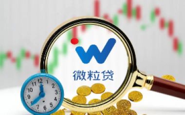 微粒贷可以申请延期还款吗？有哪些注意事项呢？
