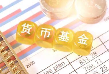 货币基金只赚不亏吗？深度解析货币基金的收益与风险