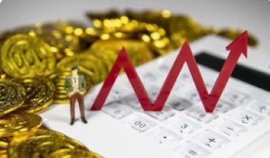 红利再投需要申购费吗？揭秘基金投资