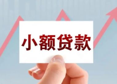 一千块的小额借钱平台有哪些？解决紧急资金需求