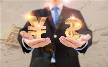 安逸花为什么还款了却借不出来？介绍可能的原因