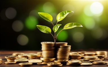 2025不看征信必下款的口子有哪些？精选5个不看征信也能下款的口子